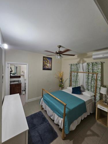 卢西Summer Breeze Villa的一间卧室配有一张床和吊扇