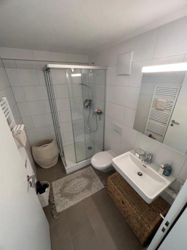 巴塞尔Best located & fully equipped apartment at Basel SBB main station的带淋浴、盥洗盆和卫生间的浴室