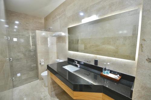 里奥韦尔德Hotel Plaza Rioverde的一间带水槽、卫生间和镜子的浴室