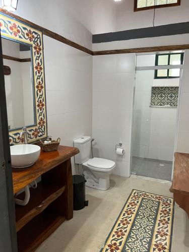 巴纳纳尔Fazenda Dos Coqueiros-Bananal-SP的一间带水槽、卫生间和镜子的浴室
