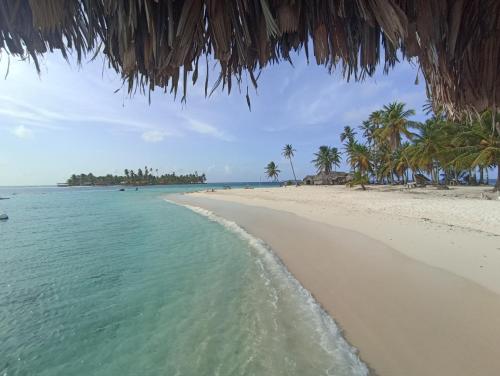 Wagsalatupo GrandeCabaña tradiconal en isla Perro chico San blas的一片棕榈树和海洋的空旷海滩