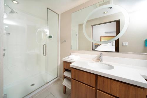 普鲁士王马洛特费城福吉谷/普鲁斯金春季山丘套房酒店的一间带水槽和淋浴的浴室