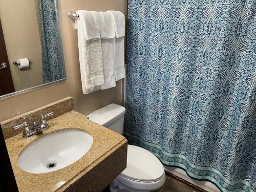 阿什塔比拉Economy Inn & Suites的一间带水槽、卫生间和淋浴的浴室