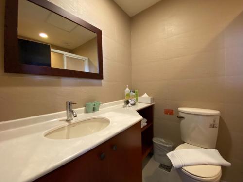 台东Ita taiwan indigenous cultural resort的一间带水槽、卫生间和镜子的浴室