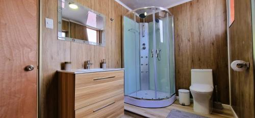 卡拉马HOSTAL SyR Calama的带淋浴和盥洗盆的浴室