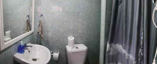 皮尔克Escapada romántica的浴室配有卫生间、盥洗盆和淋浴。