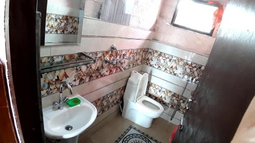 博卡拉HIMALAYAN AAMA APARTMENT的一间带水槽和卫生间的浴室