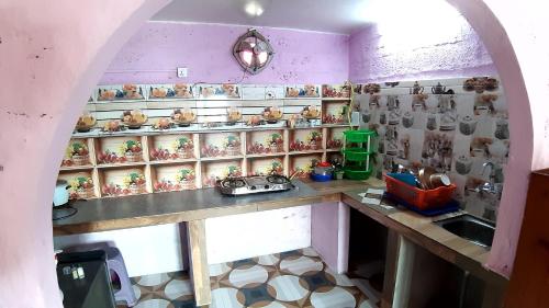 博卡拉HIMALAYAN AAMA APARTMENT的厨房配有柜台和填充动物架子