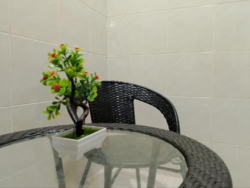 珍南海滩Lawer Guesthouse (Pulau Langkawi)的玻璃桌,上面有盆栽植物