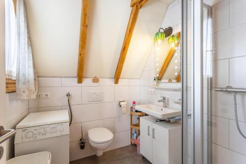希格斯多夫Ferienhaus Moritz的一间带卫生间和水槽的小浴室