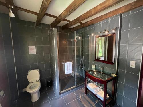 LoubensDomaine La Tour的带淋浴、卫生间和盥洗盆的浴室