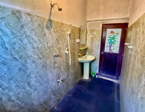 汉班托塔Hamba Hostel for Safari的带淋浴、卫生间和盥洗盆的浴室