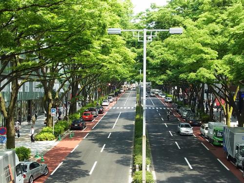 东京东京繁花青山酒店的路边有汽车的街道
