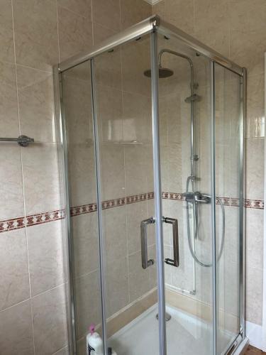 比索达雷加Dom Ruas的浴室里设有玻璃门淋浴