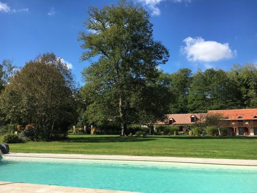 Lailly-en-ValDomaine de Montizeau的一座树屋前的游泳池