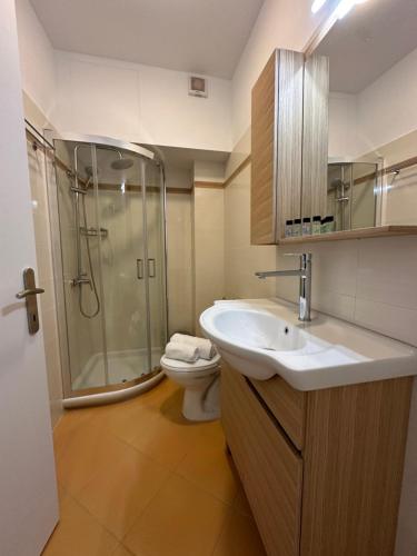 毕达哥利翁Olea Luxury Apartment的一间带水槽、淋浴和卫生间的浴室
