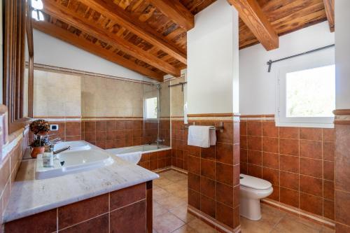 圣费兰-德瑟斯罗Apartaments ES POU的一间带水槽和卫生间的浴室