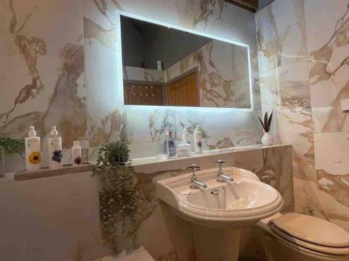 Luxury private FARM BARN, Airport, NEC的一间带水槽、卫生间和镜子的浴室