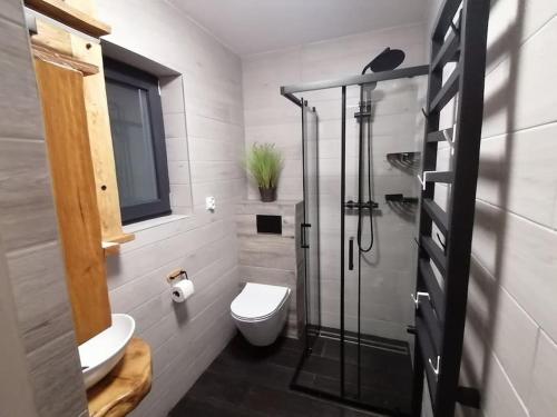 莱斯科Domek Zielony Widok - noclegi Bieszczady的一间带卫生间和玻璃淋浴间的浴室