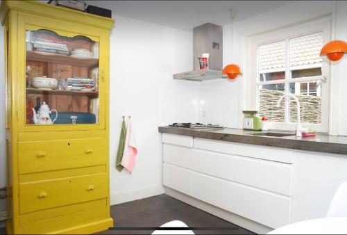 WatergangTiny house Watergang的厨房里设有黄色橱柜