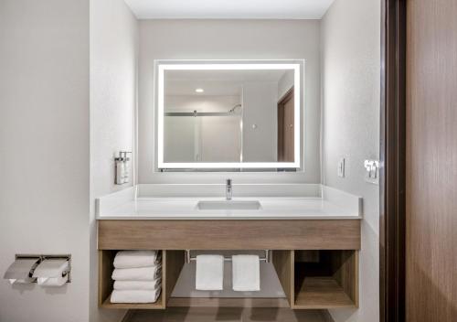 纳欣诺市圣地亚哥南智选假日酒店的浴室配有带镜子的盥洗盆和毛巾