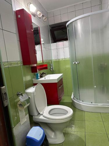 图尔恰LukApartaments的浴室配有卫生间、淋浴和盥洗盆。