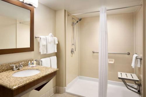 小石城康福特茵总统套房酒店的一间带水槽和淋浴的浴室