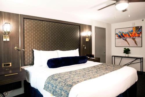 麦卡伦Radisson Hotel McAllen Airport的酒店客房设有一张大床,上面有蓝色的枕头