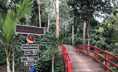 ManabaoSpirit Mountain Coffee的森林里一座红色的桥,上面有标志
