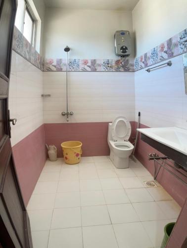 白沙瓦Crown Castle Peshawar的一间带卫生间和水槽的浴室