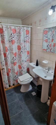 埃博森Casa Sur的一间带卫生间和水槽的浴室