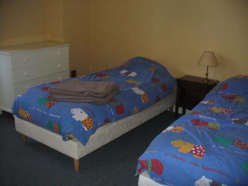 布瓦乐洛伊嫩枝别墅旅馆的一间卧室配有两张单人床和一个梳妆台