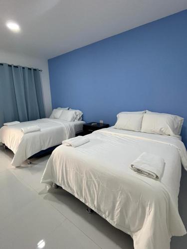 莫约加尔帕Hotel Campestre Bella Vista Ometepe的蓝色墙壁客房的两张床