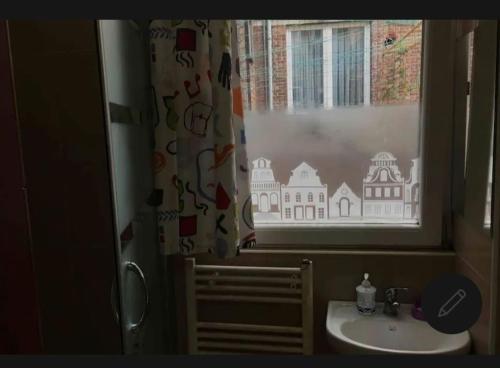 布鲁塞尔Room in Guest room - Chambre A Brucelles D的一间带水槽的浴室和一个带窗帘的窗户