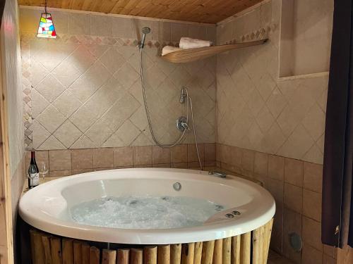 בוסתן החורש- חיפה的浴室设有浴缸和淋浴。