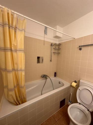 维也纳Apartment4 you的带浴缸和卫生间的浴室。