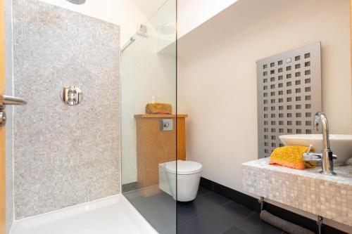 韦克斯福德Wildings Ardcavan的带淋浴、卫生间和盥洗盆的浴室