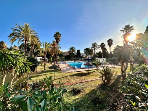 拉海瑞德拉Casa Caracol的一个带游泳池和棕榈树的度假村
