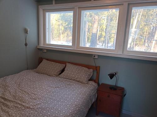 莱西Kuus Tuba的一间卧室设有一张床和两个窗户。