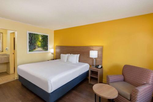 佛罗伦萨佛罗伦萨I-95北戴斯酒店的配有一张床和一把椅子的酒店客房