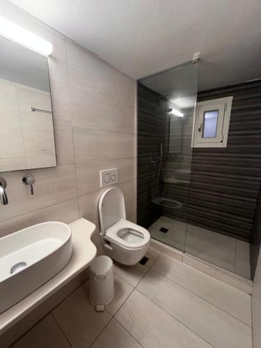 米克诺斯城瓦西利斯别墅酒店的浴室配有卫生间、盥洗盆和淋浴。