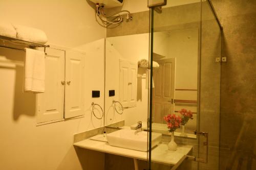 科代卡纳尔Craigmore By Kodai Resort Hotel的一间带水槽和玻璃淋浴的浴室