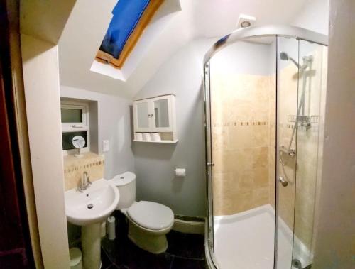 贝尔珀Woodys Retreat Cosy One Bed Cottage的带淋浴、卫生间和盥洗盆的浴室