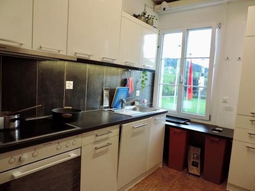 斯派克FriendsHouse Appenzellerhof的厨房配有水槽和台面