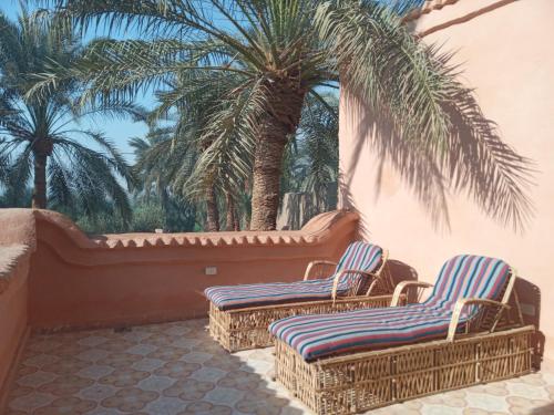 卢克索Bab Al Samawy的两把藤椅坐在棕榈树庭院