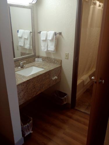 迪金森迪金森阿美瑞辛酒店 - 温德姆集团旗下的一间带水槽和镜子的浴室