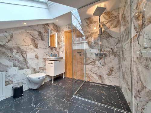 普克斯多夫Apartment Purkersdorf bei Wien Top 4的一间带卫生间和淋浴的浴室