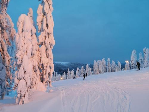 ÄkäsjoensuuLapland Riverside Cabin, Äkäsjoen Piilo - Jokiranta, Traditional Sauna, Avanto, WiFi, Ski, Ylläs, Erä, Kala的一群人沿着雪覆盖的斜坡滑雪