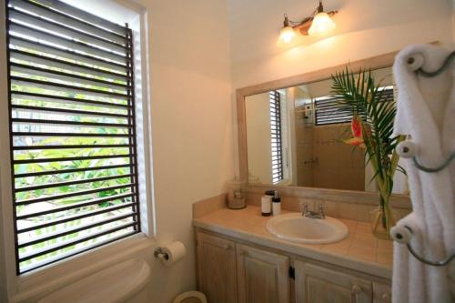 Cap EstateBeautiful 3 BR Villa in Cap Estate的一间带水槽和镜子的浴室以及窗户。