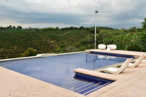 蒙特内哥罗Finca Hotel Los Girasoles的享有葡萄园景致的游泳池